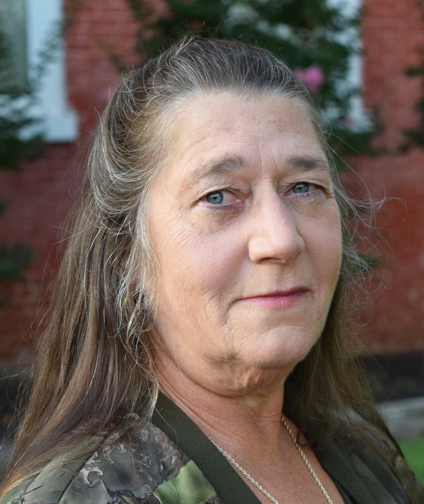 Cathy Willis